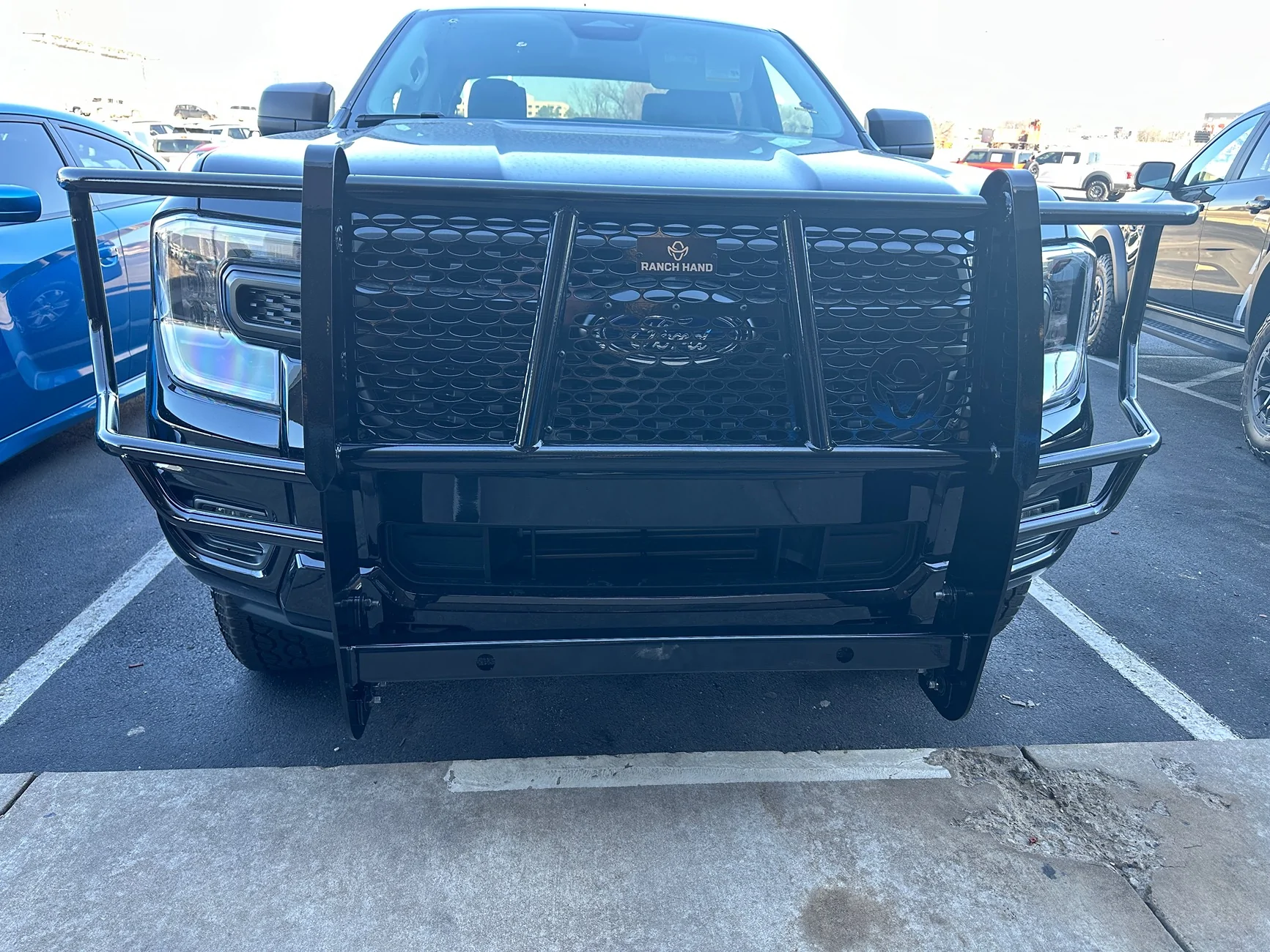 Ford Ranger Brush Guard/Bull Bar Options IMG_6619