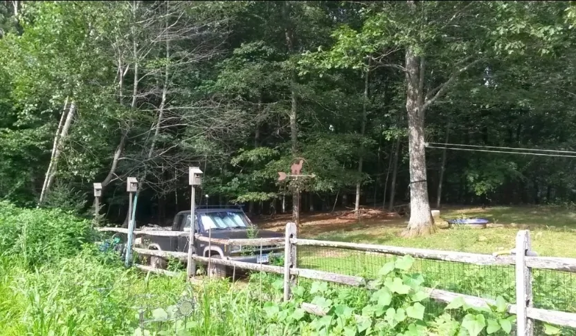 Ford Ranger Rangers We Have Known Screenshot_20260126_085333_Photos