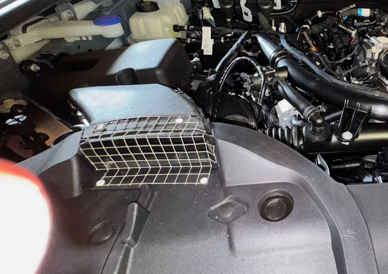 Ford Ranger 25 rangef XL underhood rodent prevention IMG_0556