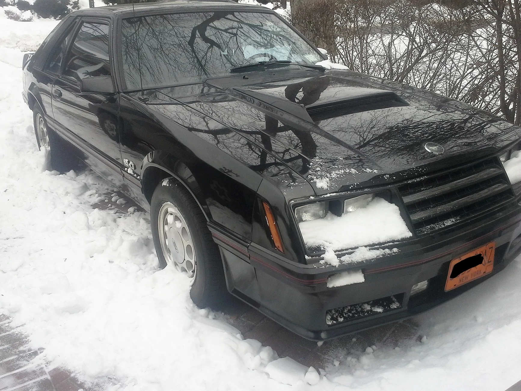 Ford Ranger What FORD vehicles do you own ?? 20180108_115554 (3)