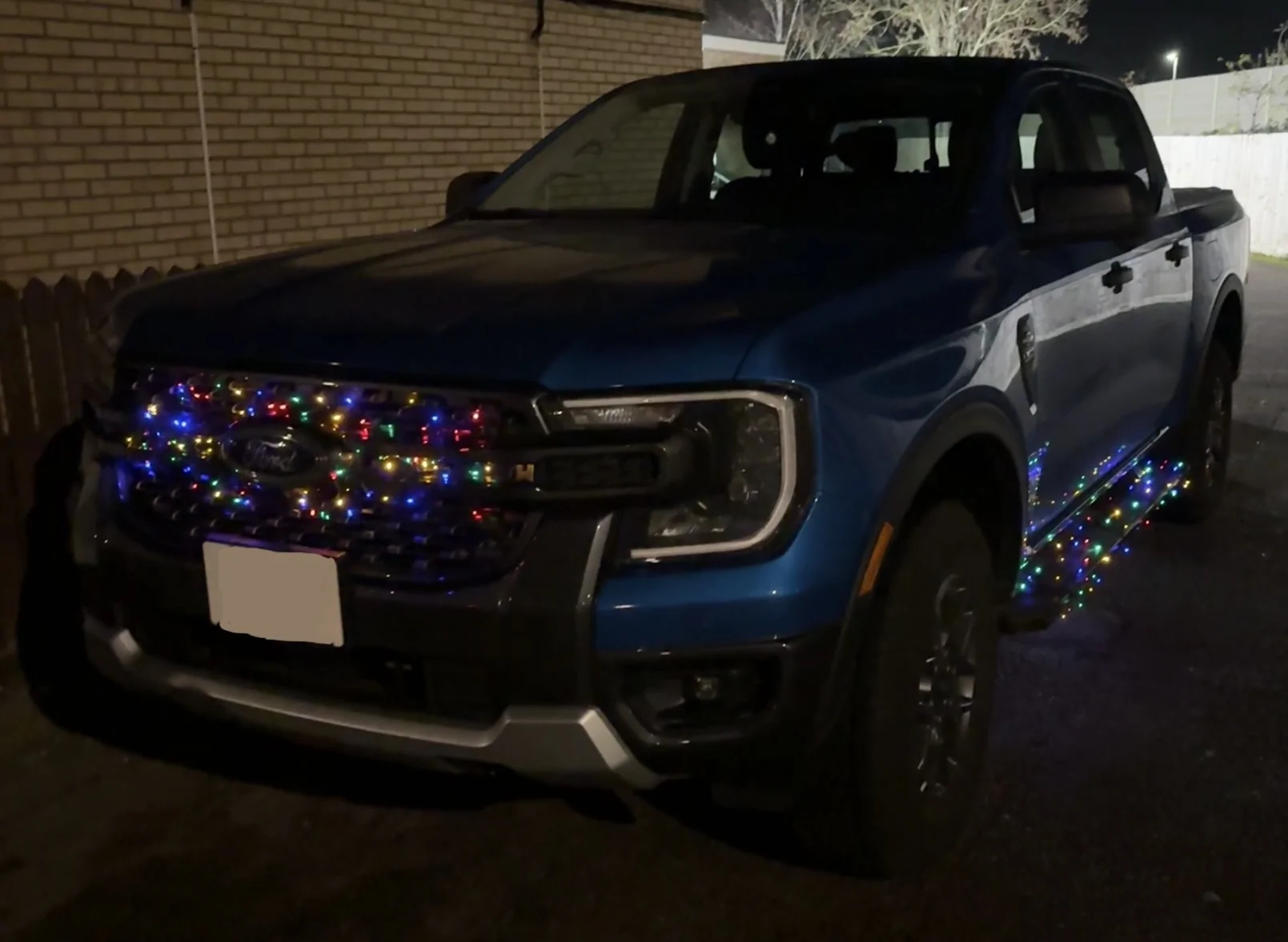 Ford Ranger Running Board Lighting IMG_0859