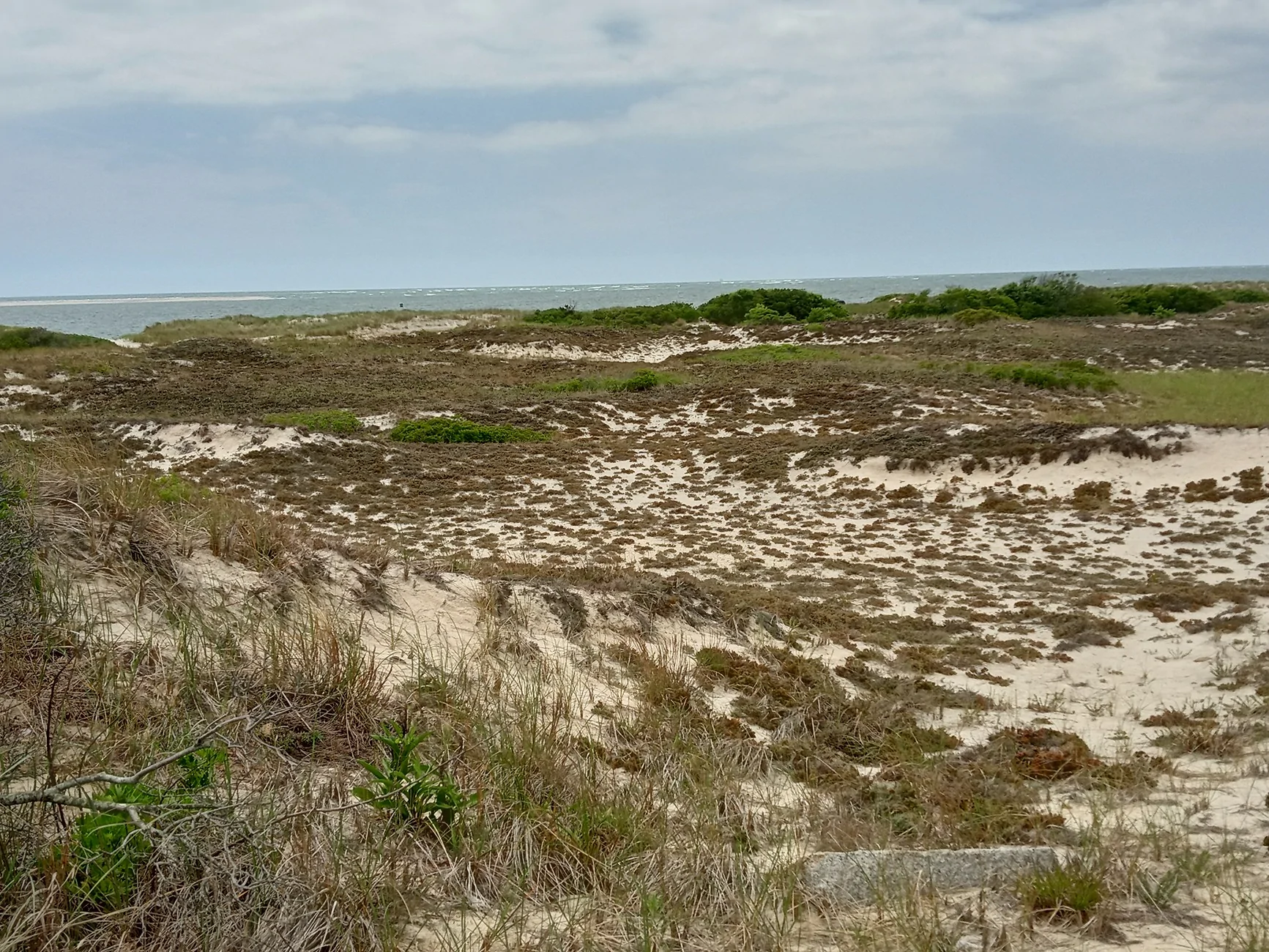 IMG_20230613_124818074_HDR.webp