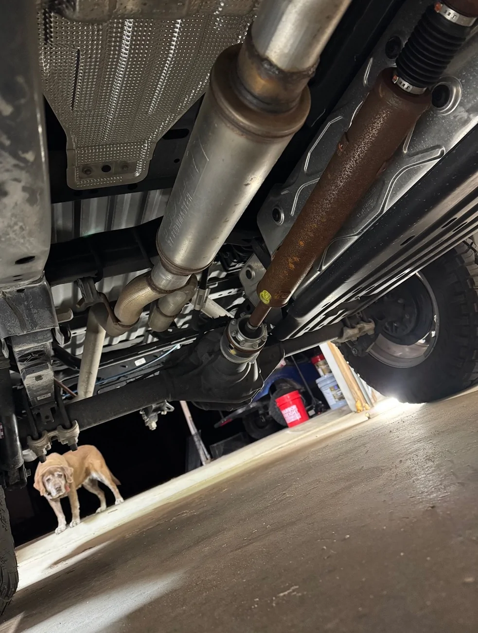 Ford Ranger 2025 Dual exhaust IMG_4341