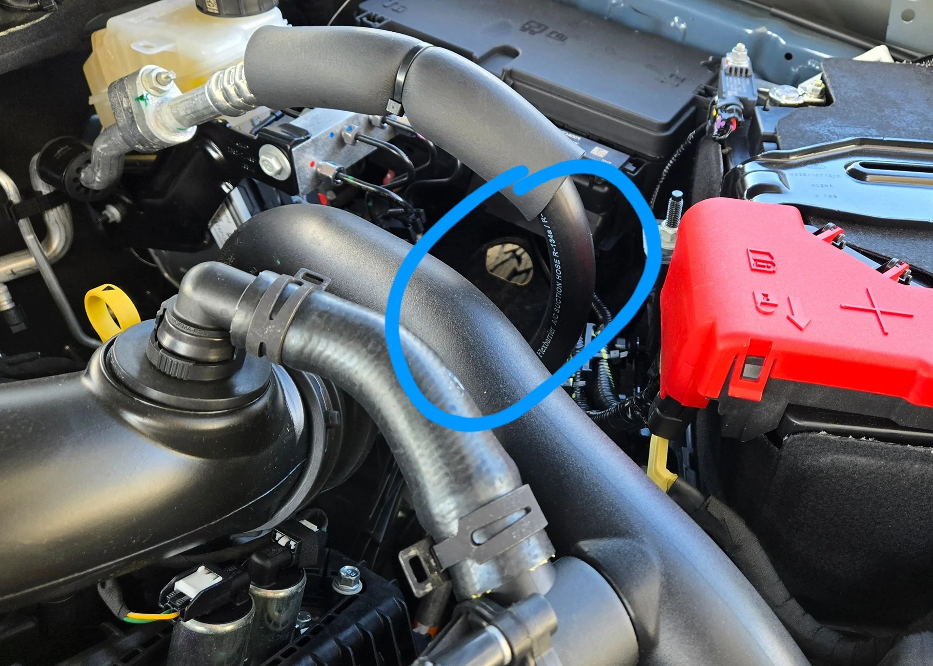 Ford Ranger Hole in the fender liner - any known purpose? 1000014492