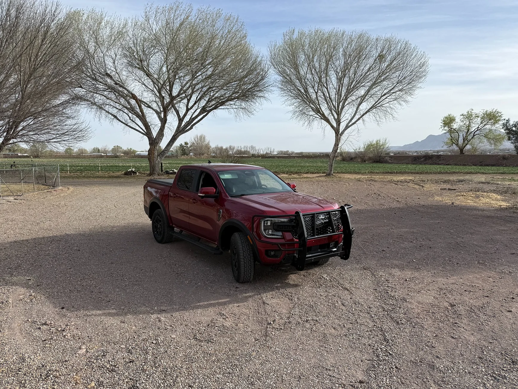 Ford Ranger Brush Guard/Bull Bar Options IMG_1849