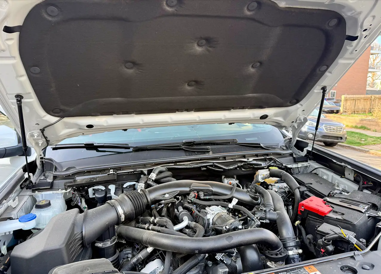 Ford Ranger What did you do to your Ranger Raptor Today? rraptor_hoodstruts1