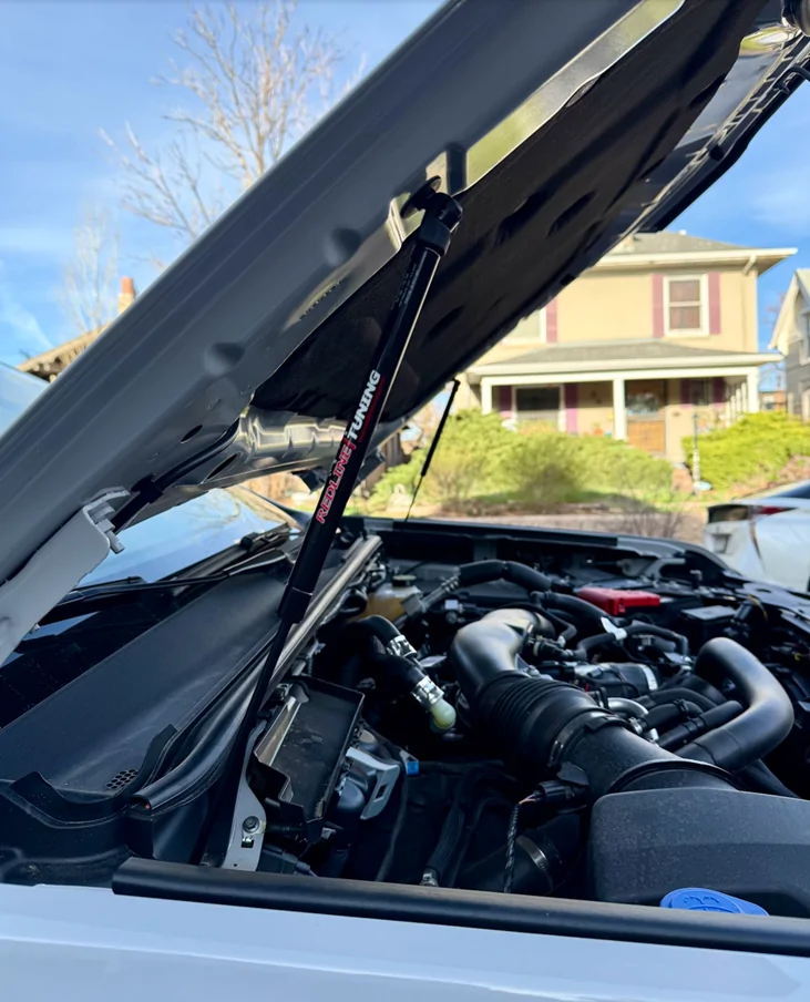 Ford Ranger What did you do to your Ranger Raptor Today? rraptor_hoodstruts2