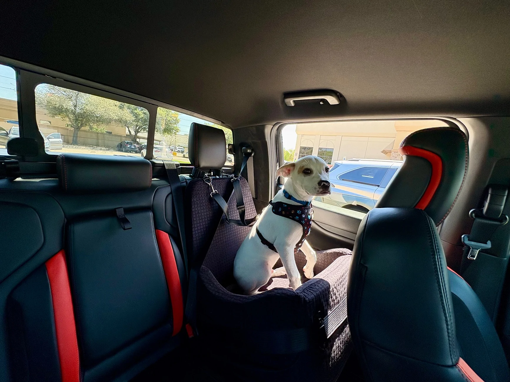 Ford Ranger What did you do to your Ranger Raptor Today? IMG_0318