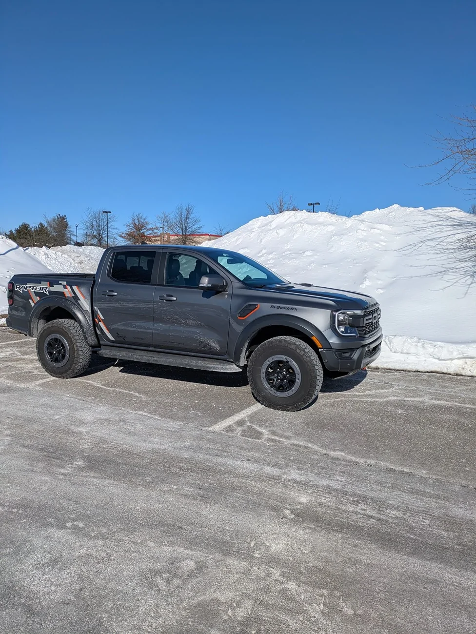 Ford Ranger Desert Sand or Carbonized Grey Metallic???  Need to finalize my order. 1000009838