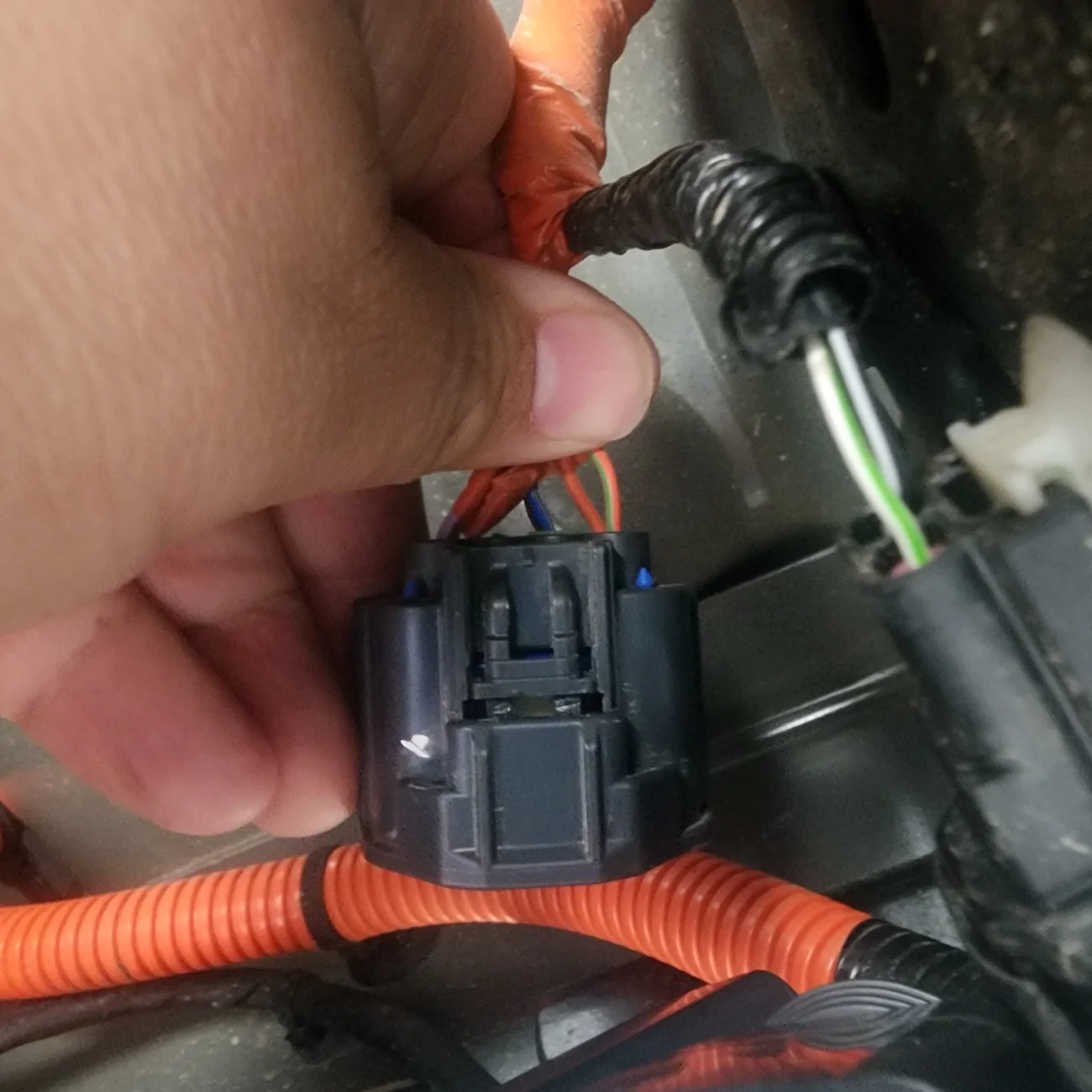 Ford Ranger 2025 Ranger - Bed 12 Volt Outlet - Final Update 20260417_151559