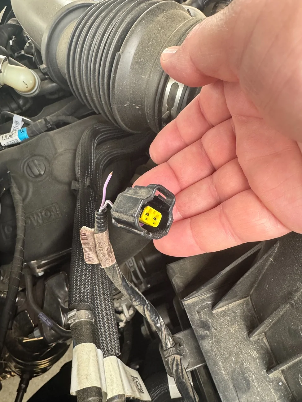 Ford Ranger Need to replace air intake air temperature sensor plug IMG_8978