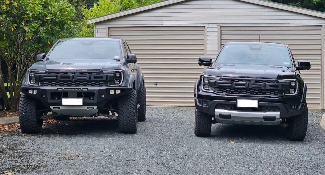 2 Raptors.webp