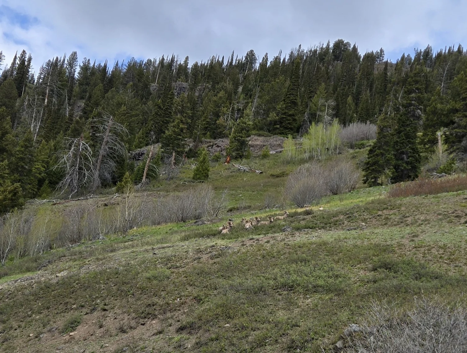 20260520_111100.webp