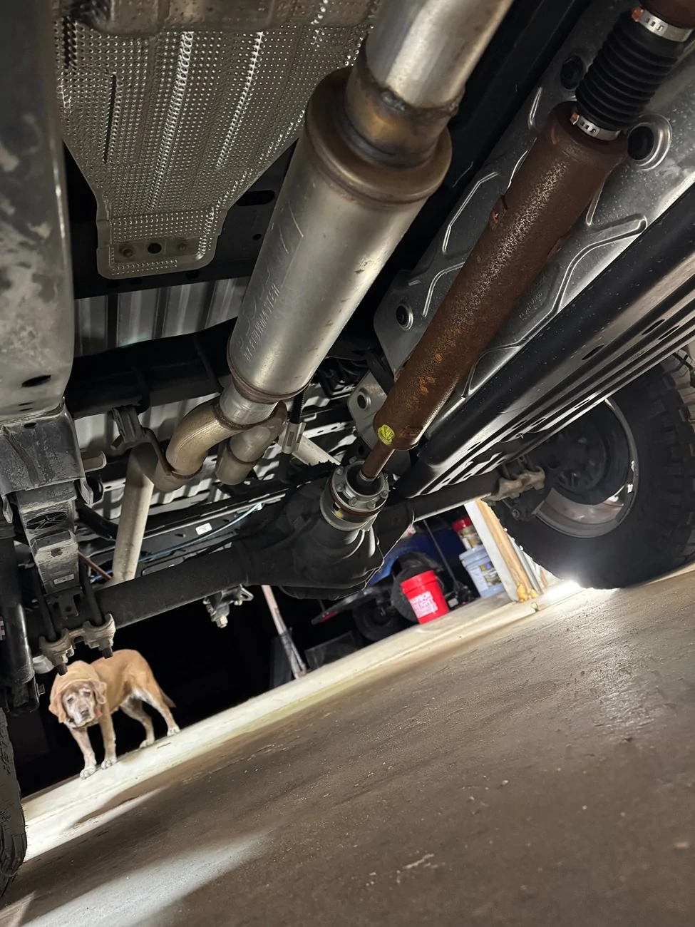 Ford Ranger 2025 Dual exhaust IMG_3944