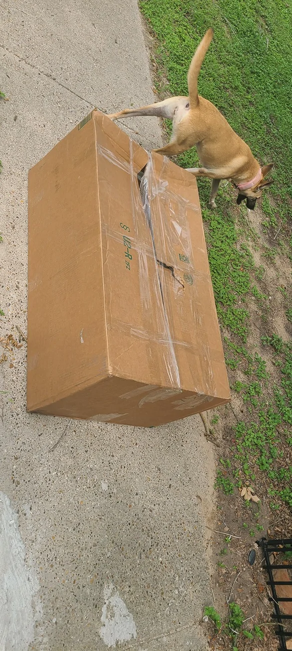Ford Ranger Michelin truck bed mat from Treadauto 20260522_161500