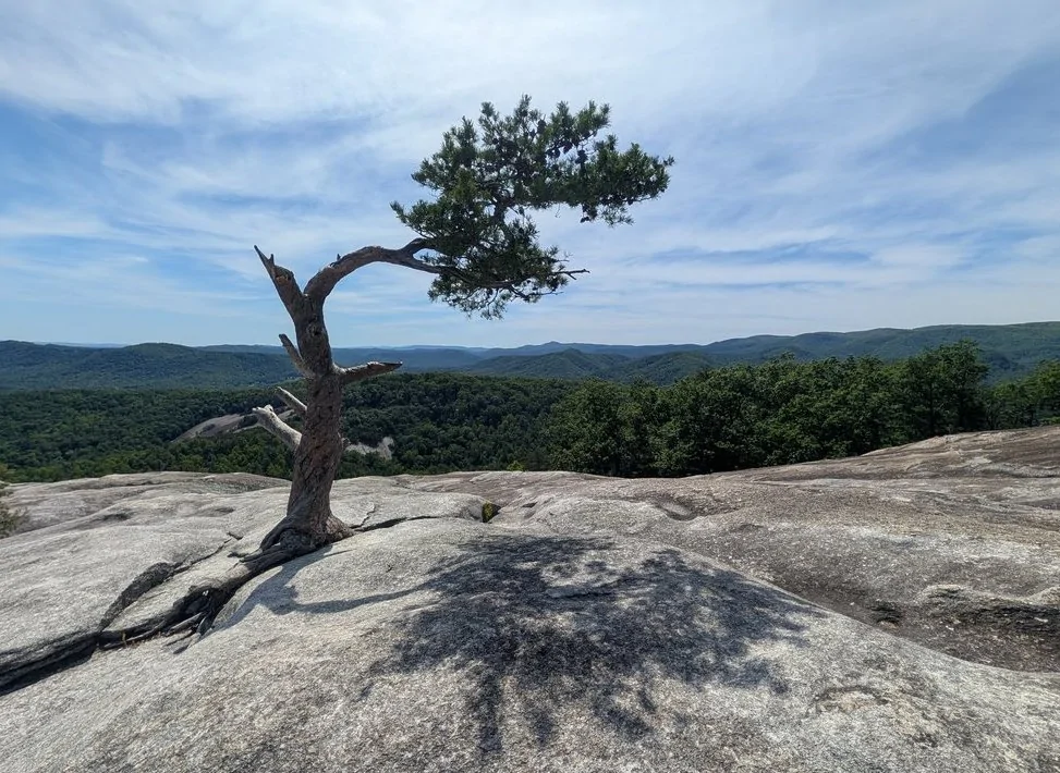Ford Ranger Where Did Your Ranger Take You This Spring? Drop Your Best Photo lonetree@stone-mtn