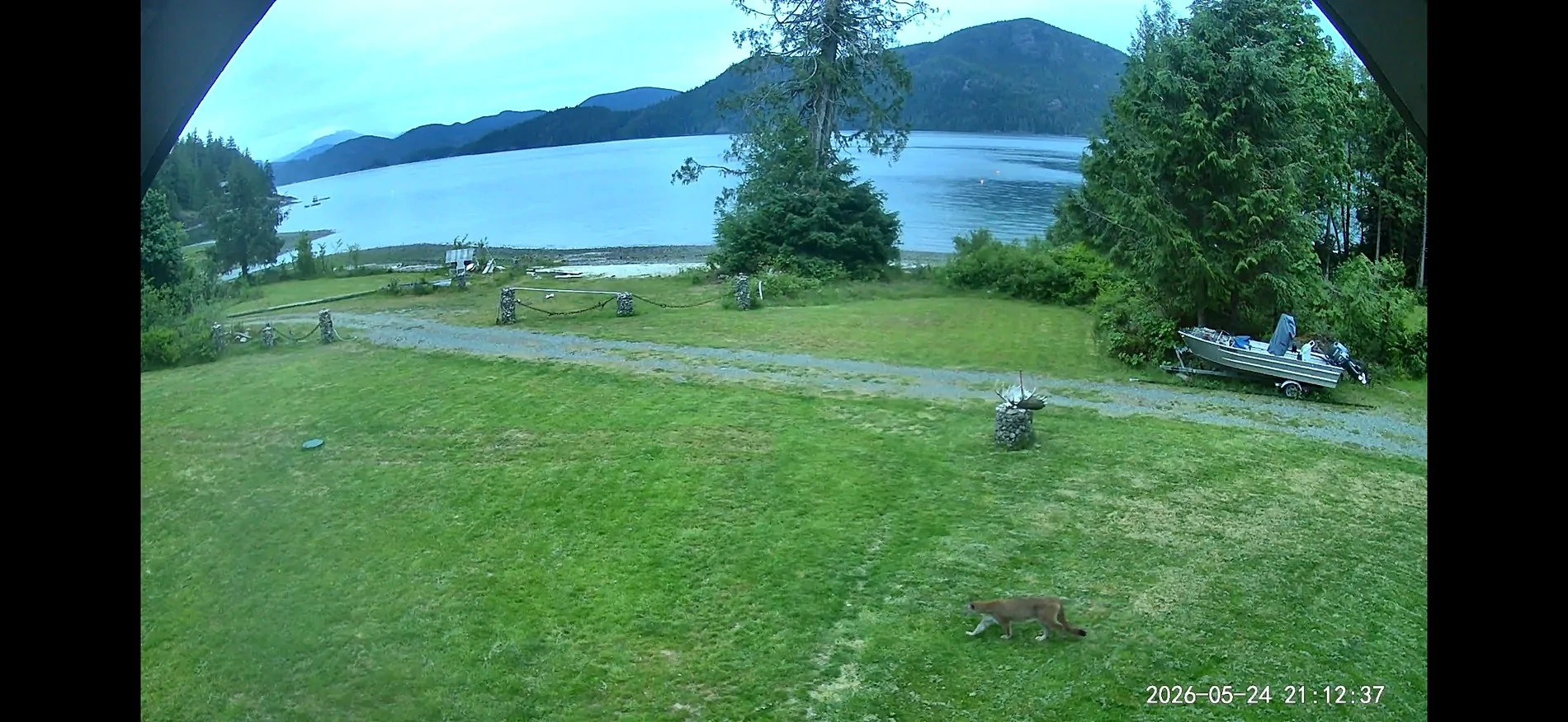 Screenshot_20260526_190624_Gallery.webp