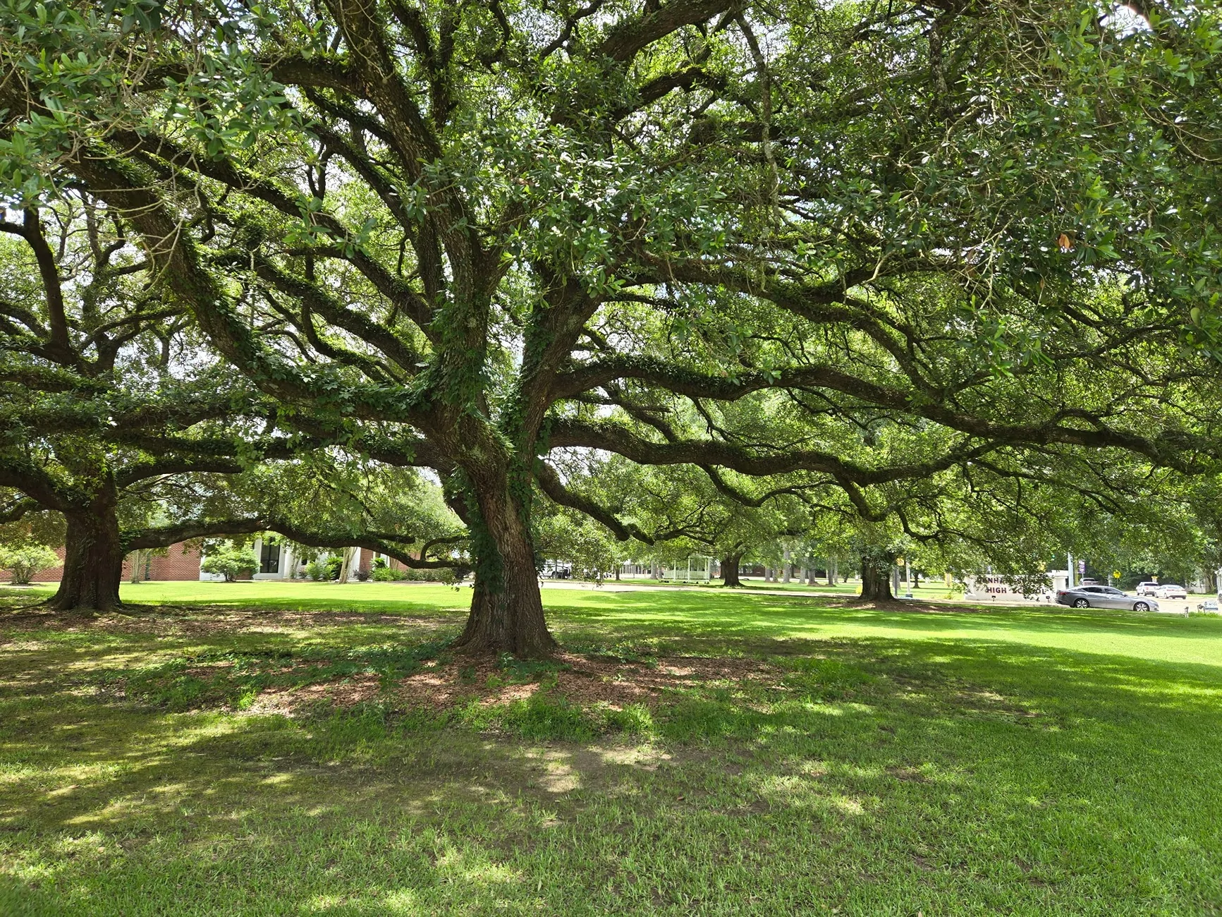IMG_20260604_212340.webp