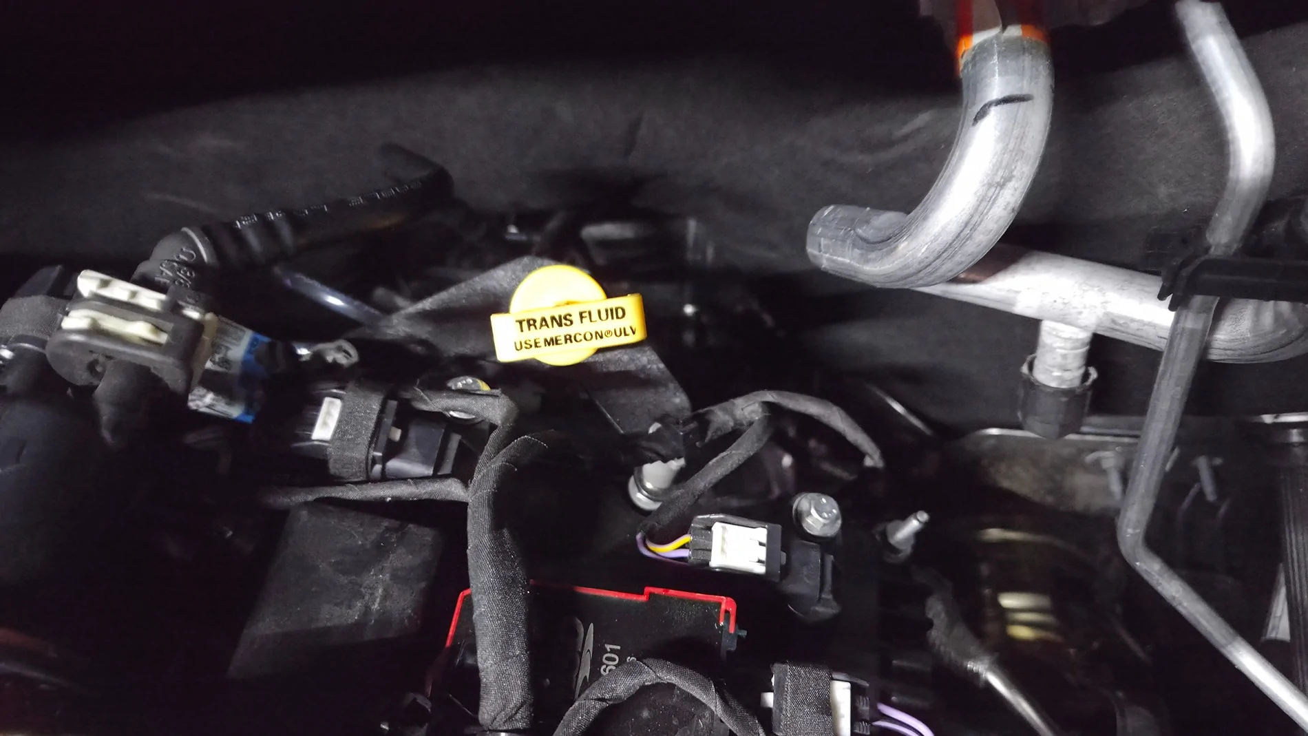 Ford Ranger RC MUSTANG Azure Gray Raptor Build 20260609_163200