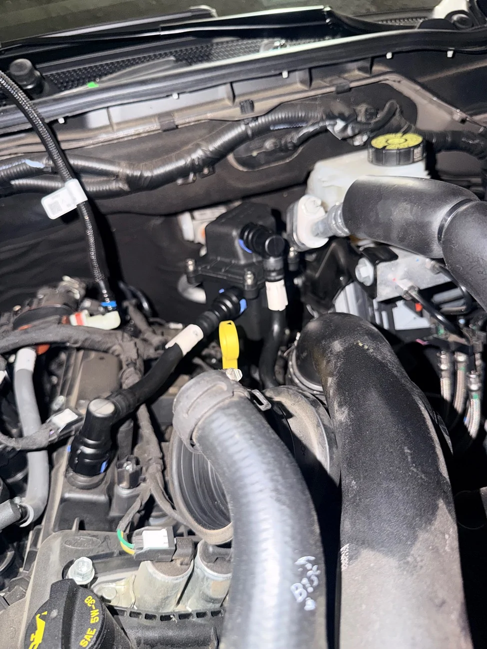Ford Ranger Ford performance catch can IMG_3039