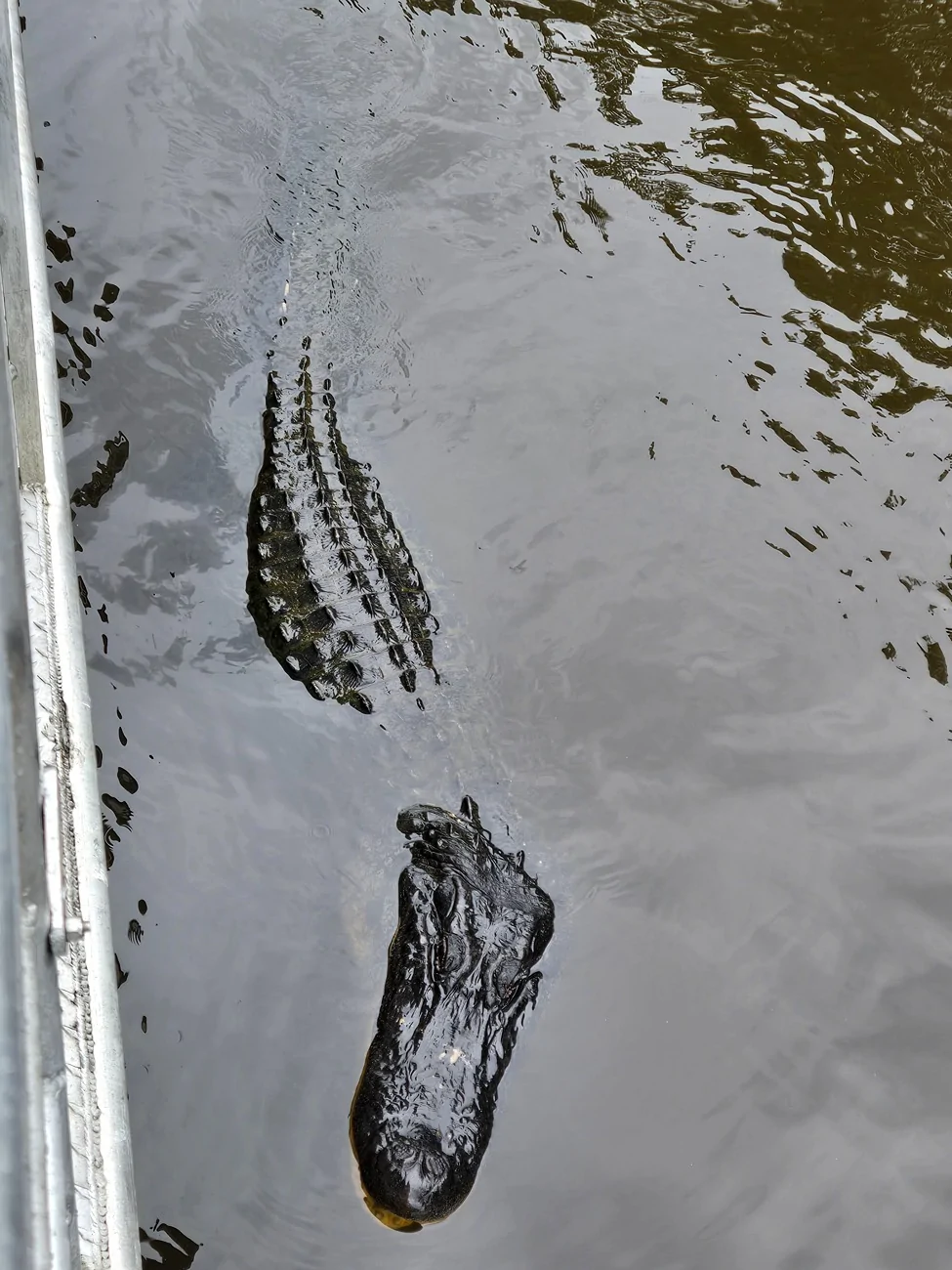 20260616_150612.webp