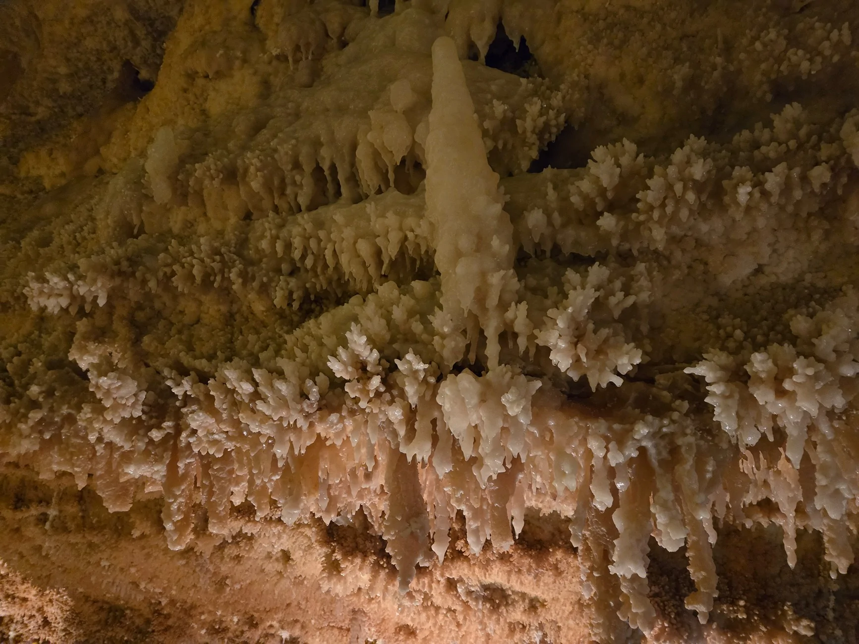 20260620_143624.webp
