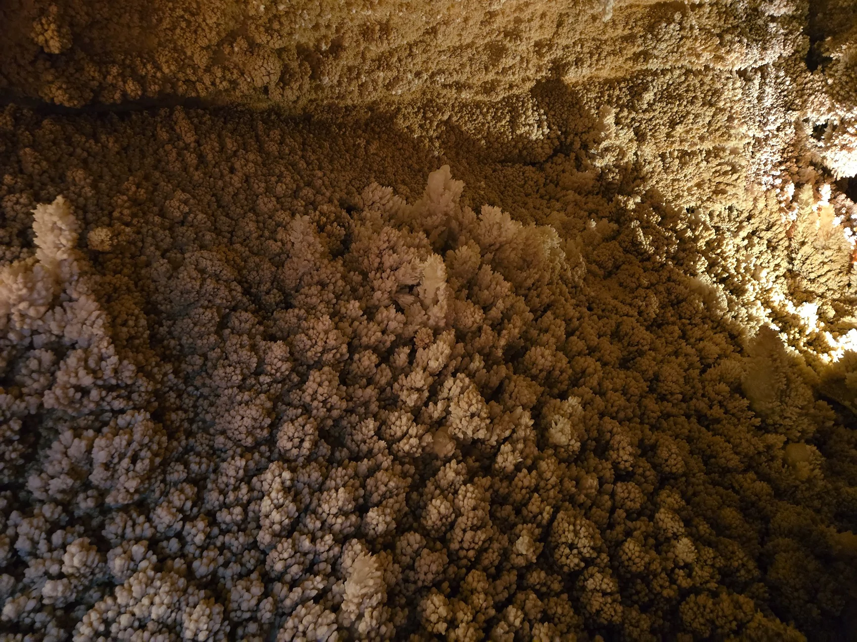 20260620_143653.webp