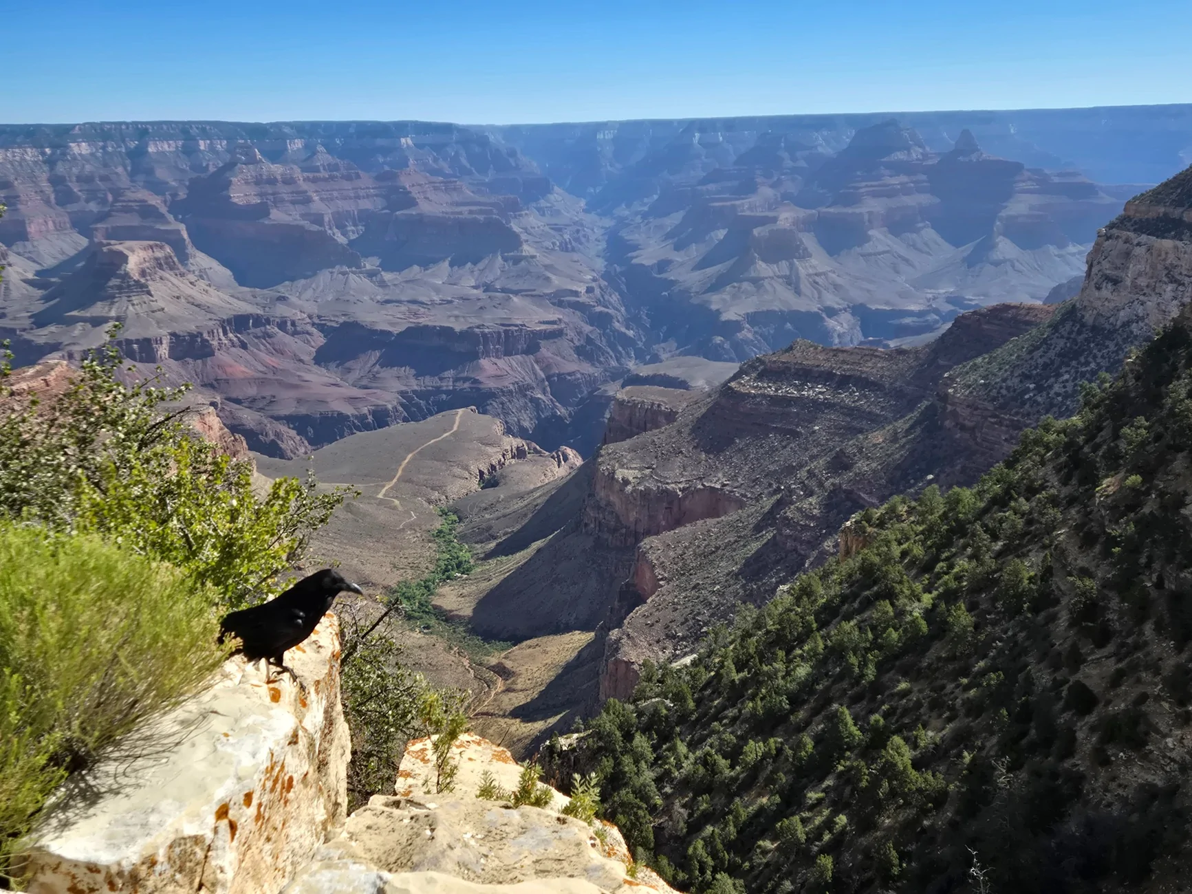 20260626_084206.webp