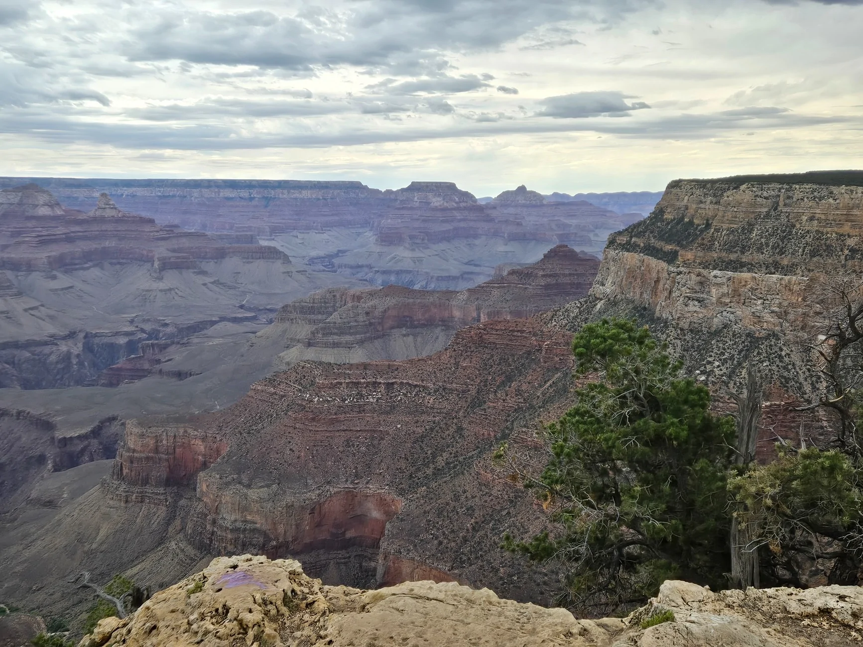 20260624_091941.webp