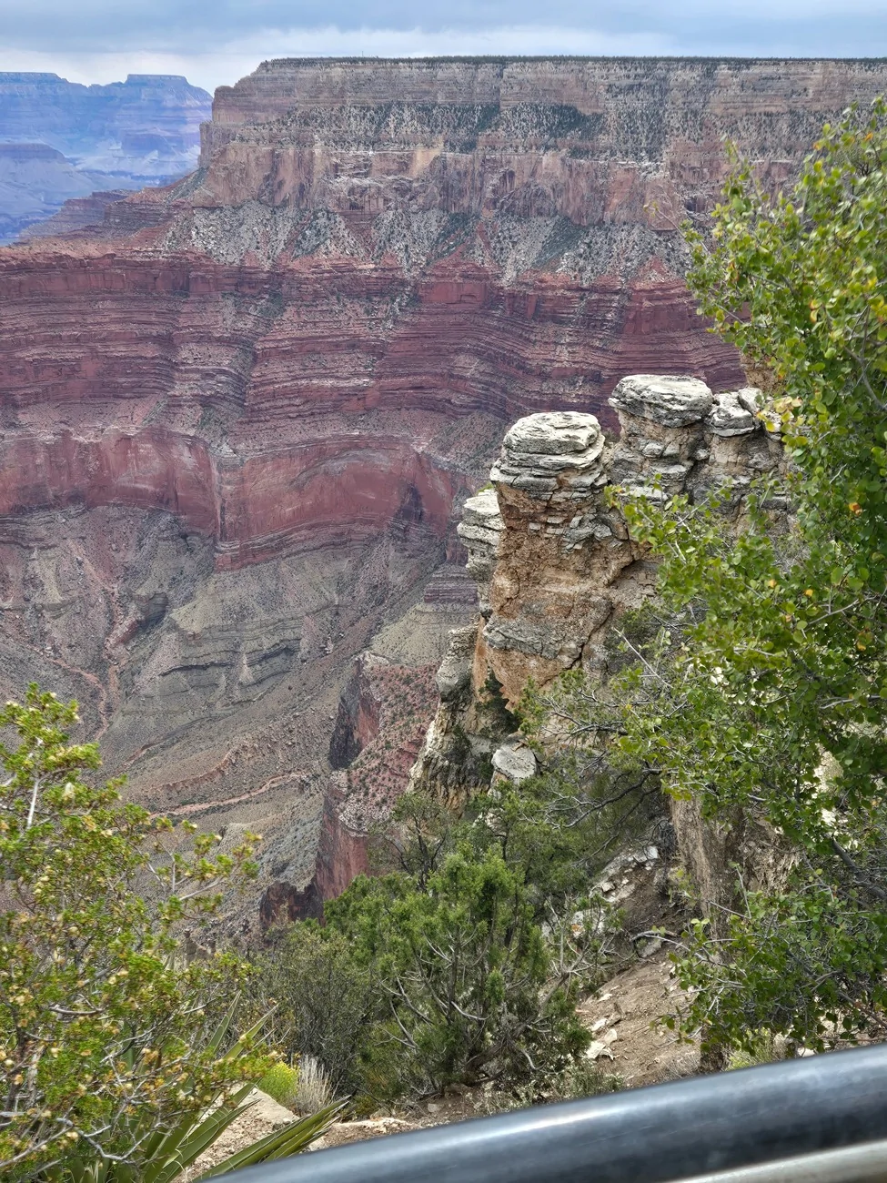 20260624_101139.webp