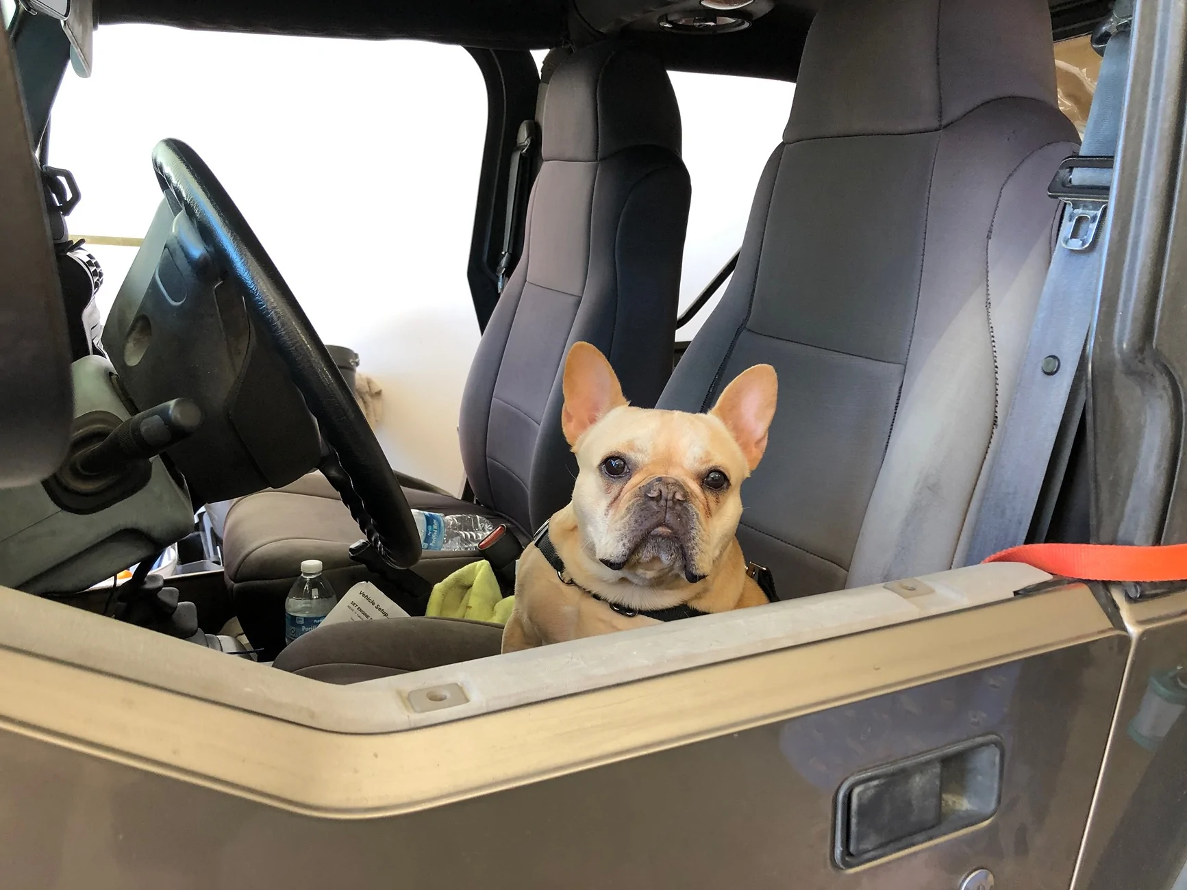 Ford Ranger Seat Covers  , What Was Your Favorite Choice IMG_1523