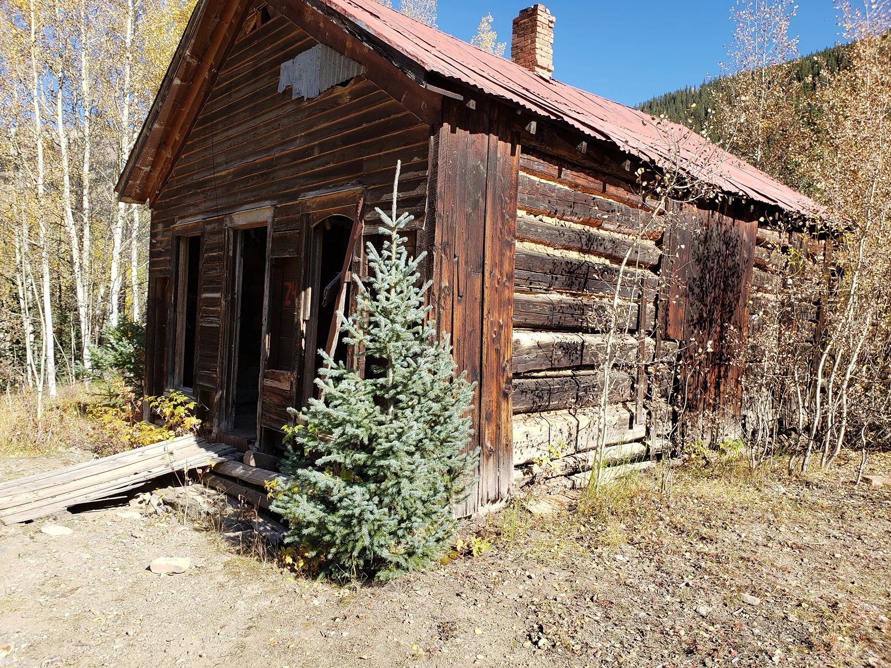 20191006_154003.webp