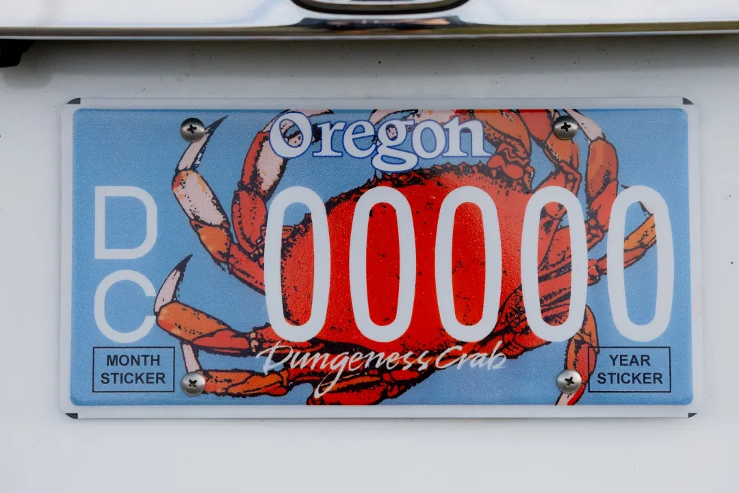 Ford Ranger Best license plate designs? 1784409775743-y9