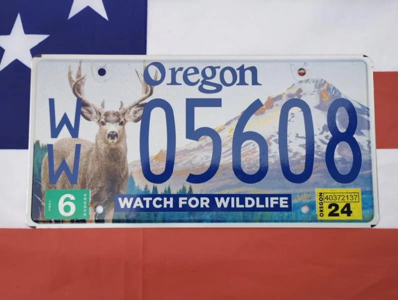 Ford Ranger Best license plate designs? 1784409963586-k9