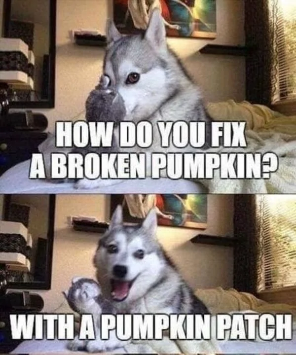 Ford Ranger Let’s see your Memes! IMG_0204