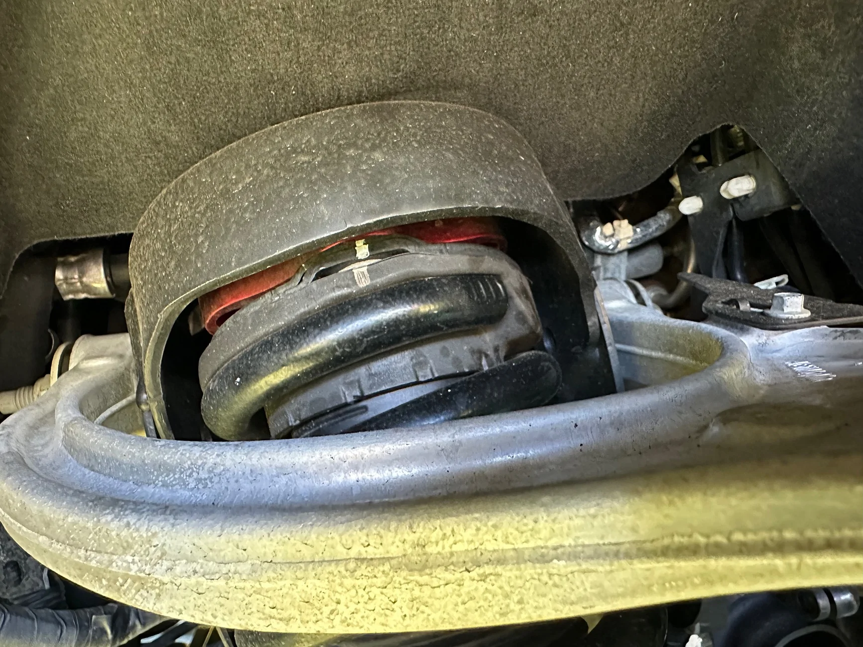 Ford Ranger Ranger Raptor - 1.5" front leveling spacers installed IMG_3561
