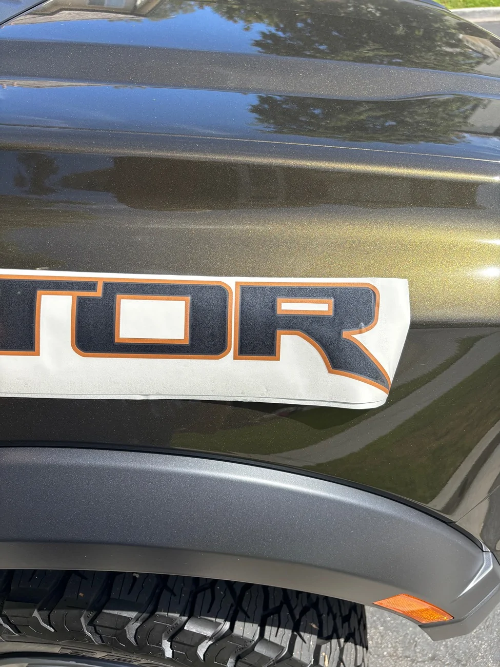Ford Ranger Shelter Green Raptor Bed Decals...Thoughts? IMG_2468