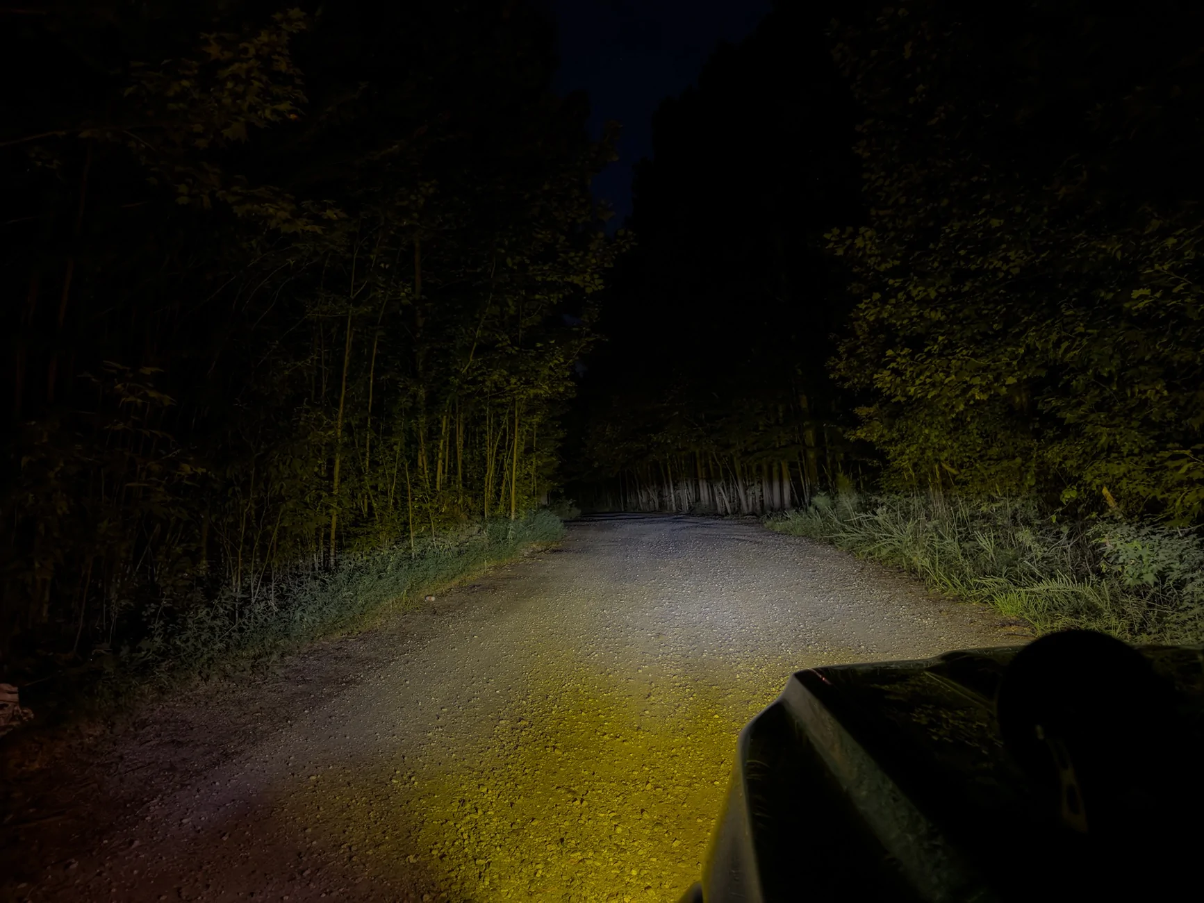 Ford Ranger Fog light options NO_FUSION_0825_004