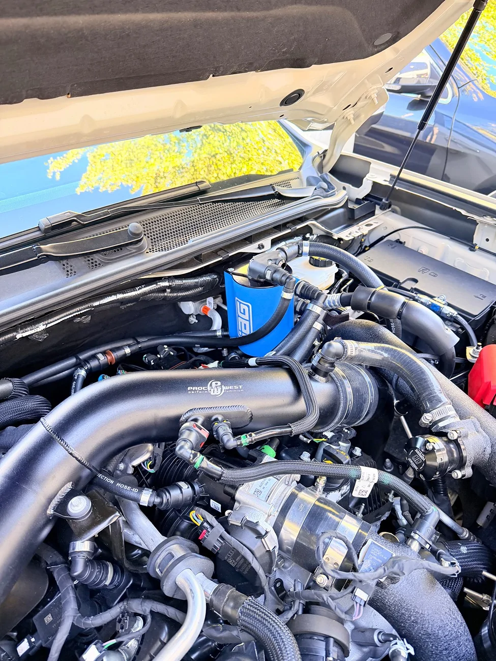 Ford Ranger Carbon buildup after 34,000 miles with single valve catch can (scope view) IMG_0682
