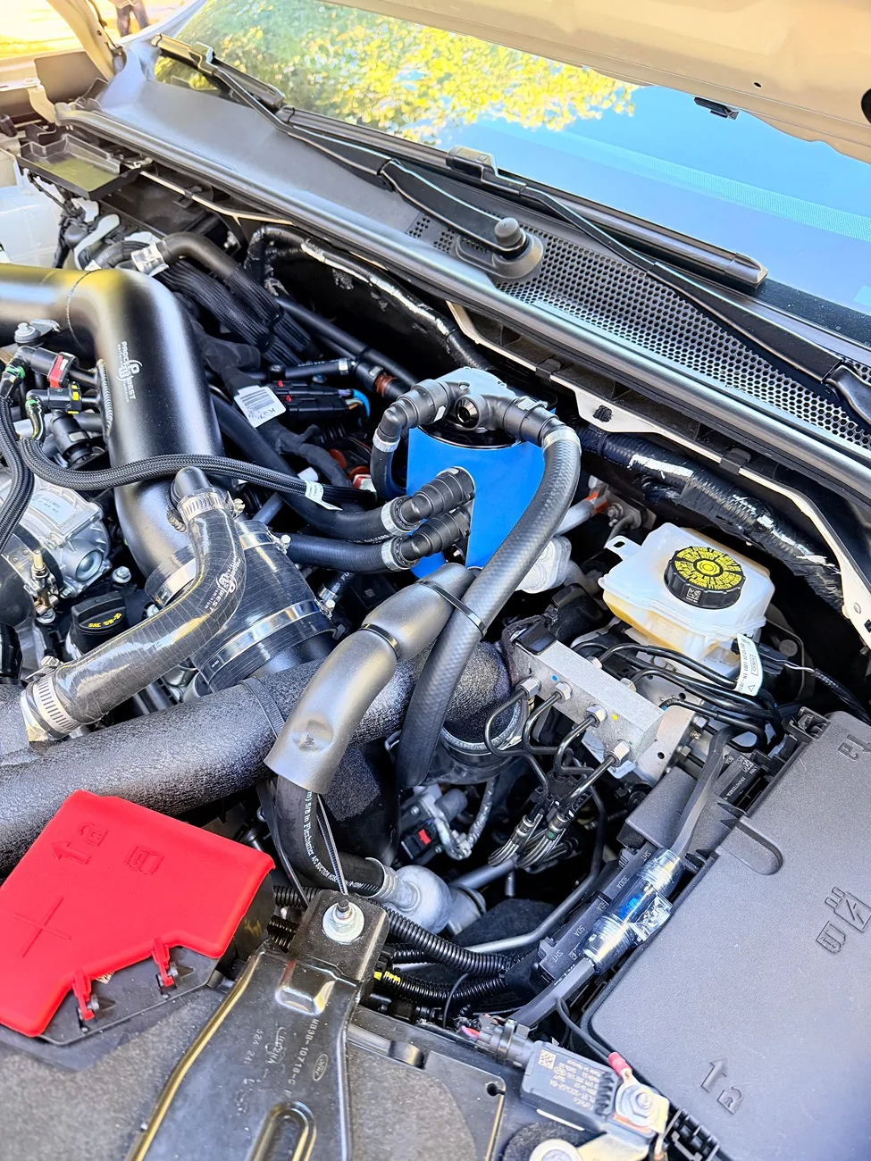 Ford Ranger Carbon buildup after 34,000 miles with single valve catch can (scope view) IMG_0683
