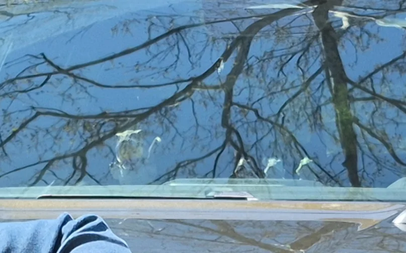 Ford Ranger Jeep Ducks?  I think not... 1788436336797-p9