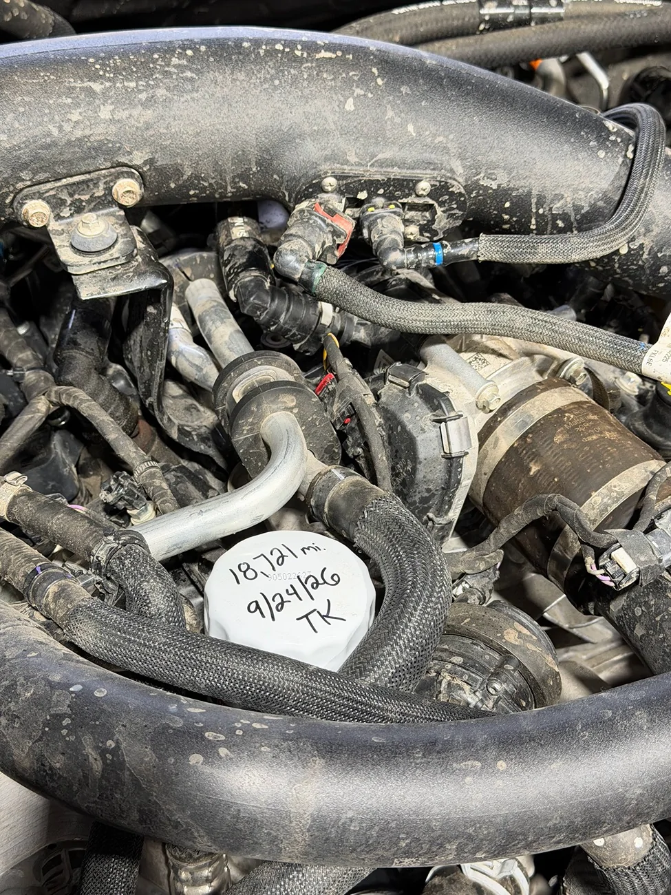 Ford Ranger TK'S 2025 Ranger Raptor Build Thread IMG_1566