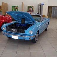 1carguy