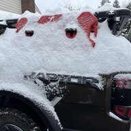 KayaPayaPigDog